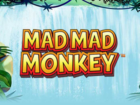 Mad Mad Monkey casino game