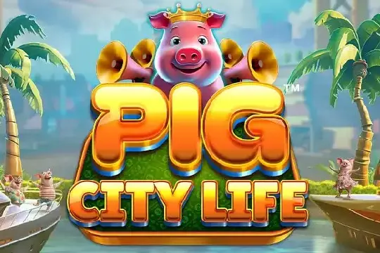 Pig City Life